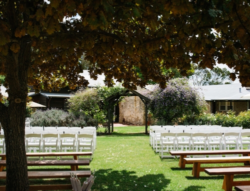 Broadwater Farm wedding 12