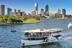 Decoy Paddle Steamer