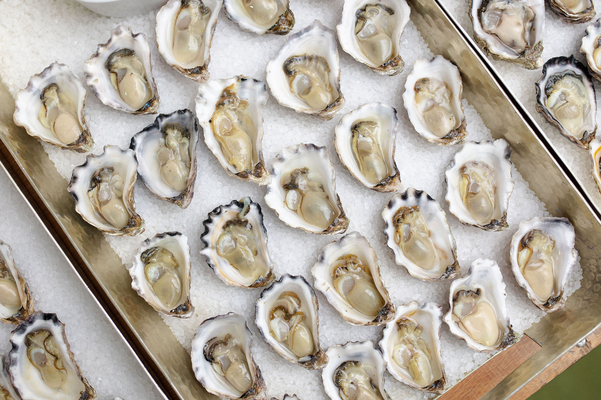 Gold Series Perth - Ultimo Catering Luxury Service Oysters