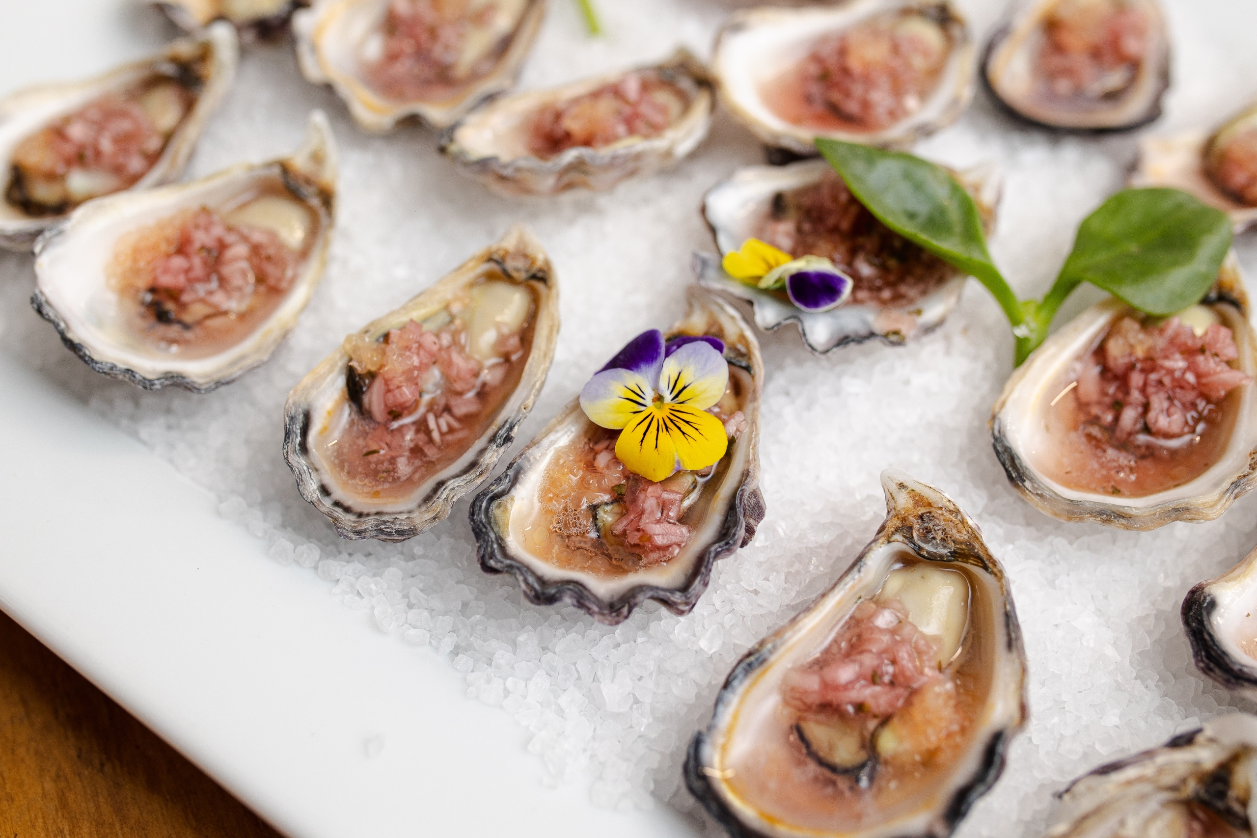 SUITED 2025 Ultimo Catering and Events